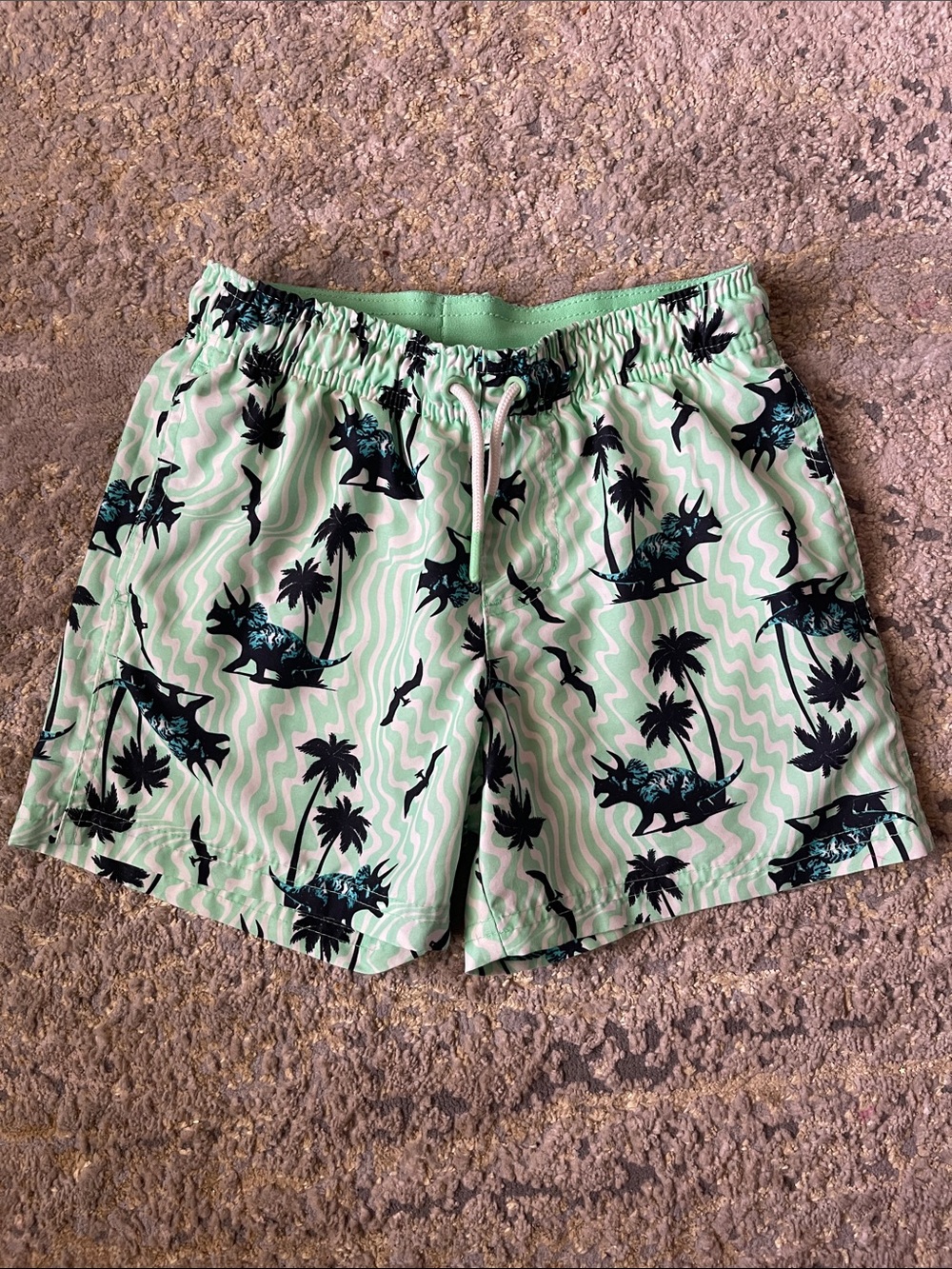 Boys dinosaur swim trunks
